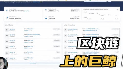 区块链上的巨鲸地址 · 来源:B 站 · 胡聊AI
