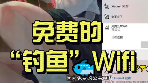 为什么免费WIFI有安全风险(钓鱼WIFI与DNS劫持) · 来源:B 站 · 网络小白_Uncle城